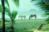image1.jpg (32211 Byte)